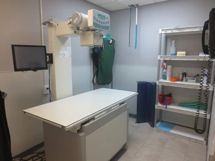 Downtown Veterinary Associates Picture 3
