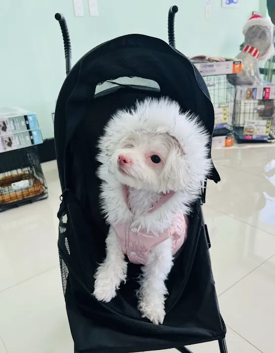 Green Paw Boutique Picture 6