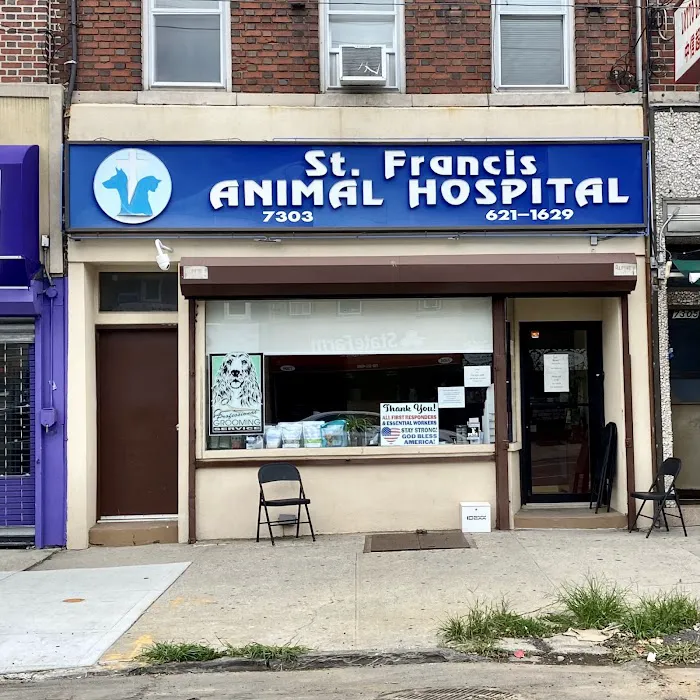 St Francis Animal Hospital Picture 6