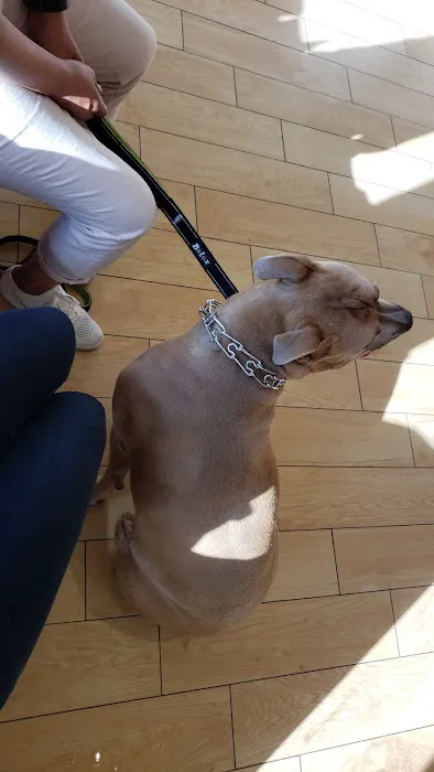 St Francis Animal Hospital Picture 10