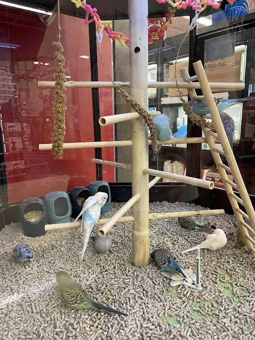 Petco Picture 3