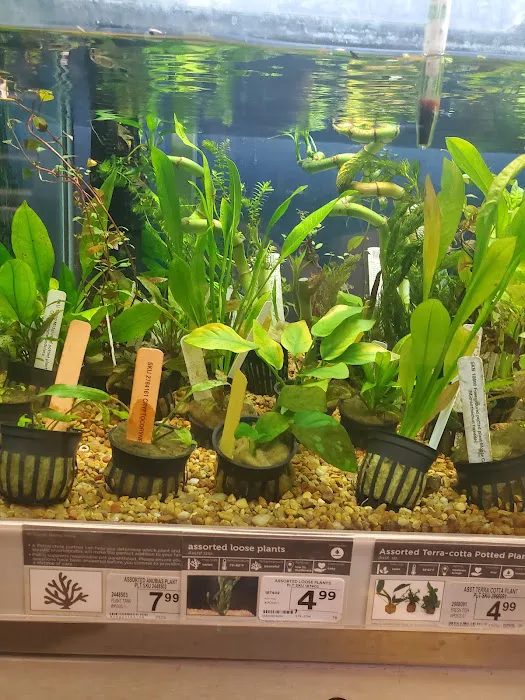Petco Picture 6