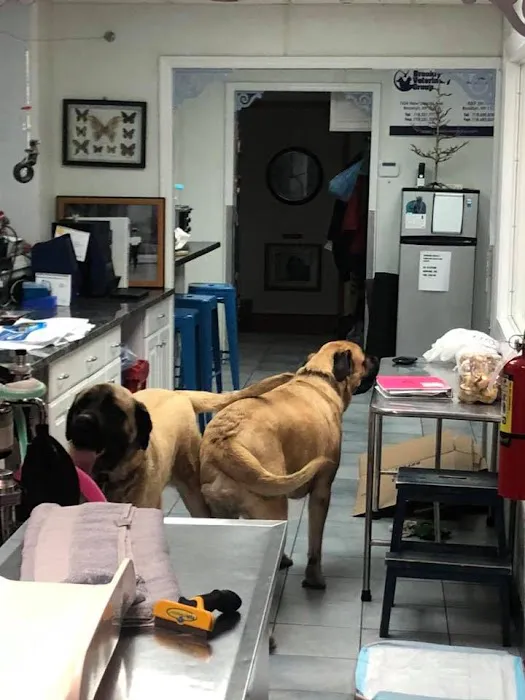 Brooklyn Veterinary Group Picture 4