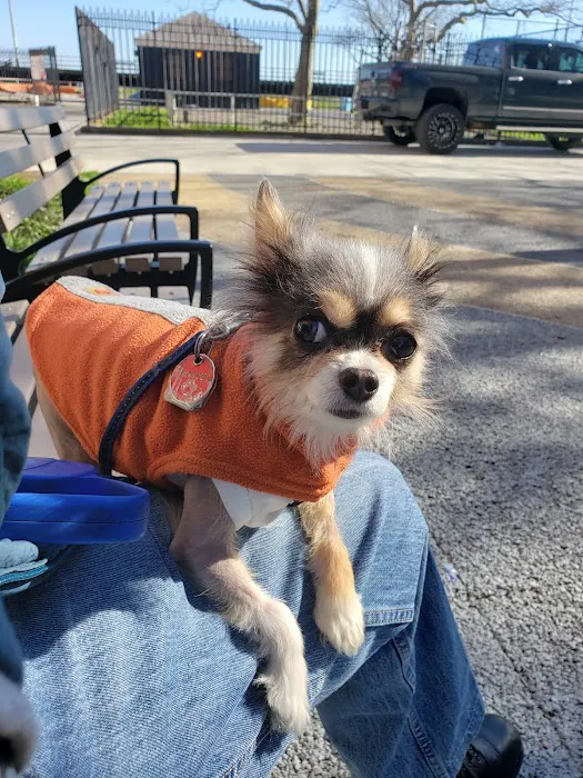 Brooklyn Veterinary Group Picture 7