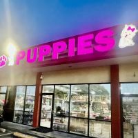 Forever Love Puppies North Miami ico