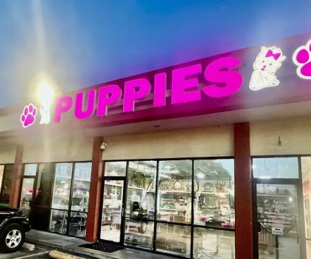 Forever Love Puppies North Miami