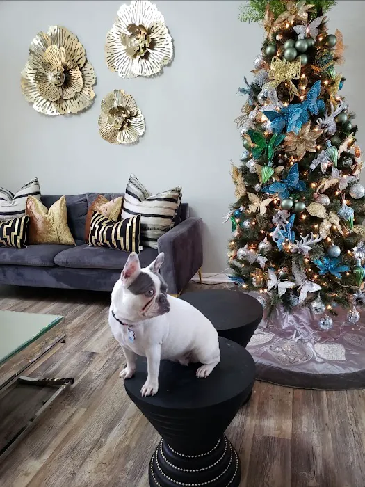 Forever Love Puppies North Miami Picture 4
