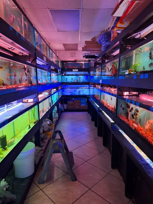Reef Lounge Miami Picture 2