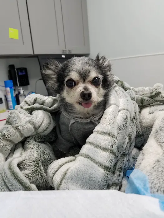4 Legged Friends Veterinary Clinic PC Picture 2