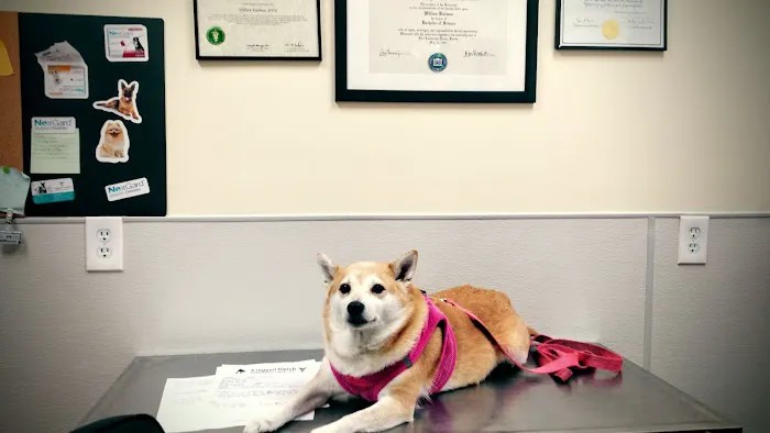 4 Legged Friends Veterinary Clinic PC Picture 5