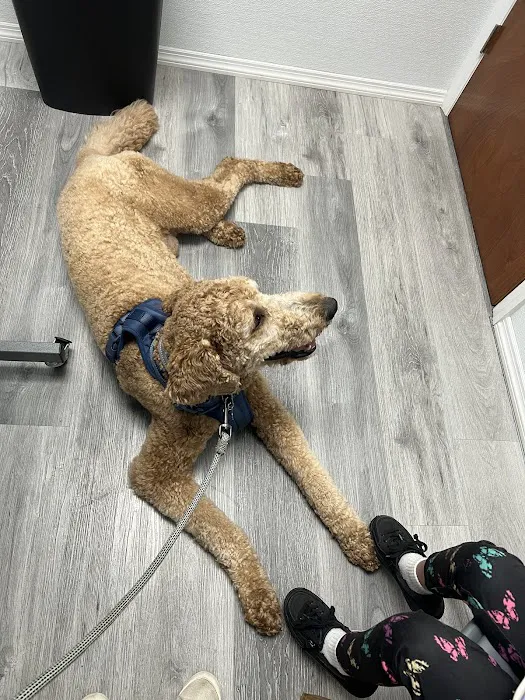 4 Legged Friends Veterinary Clinic PC Picture 7