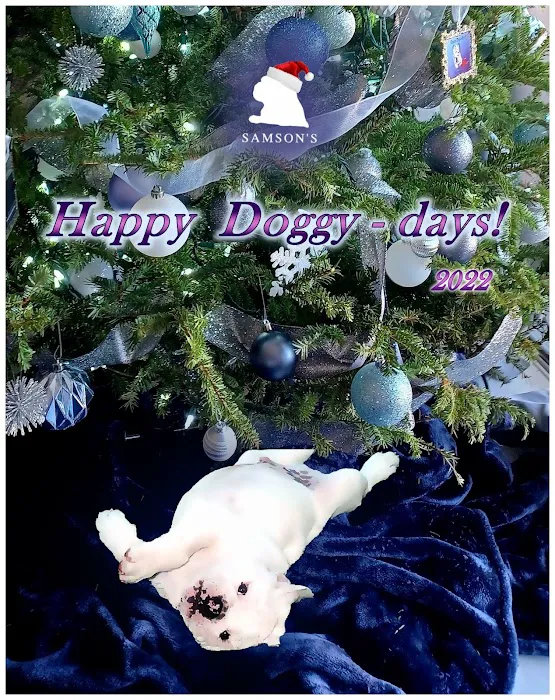 Samson's - pet products custom Picture 4