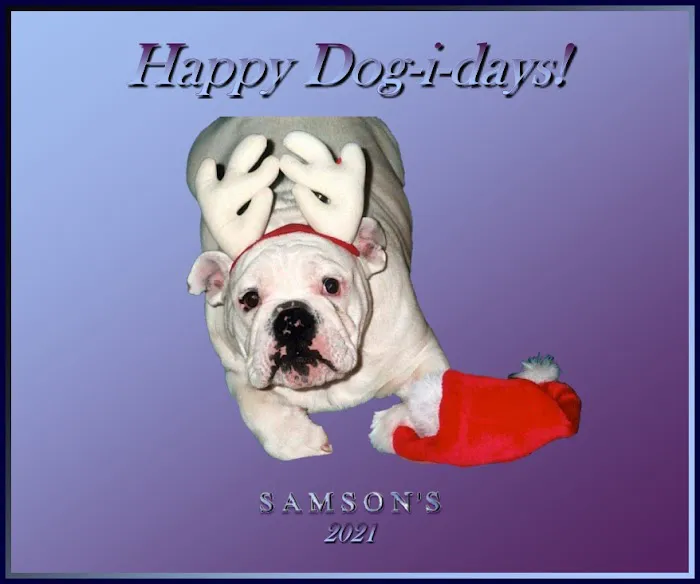 Samson's - pet products custom Picture 5