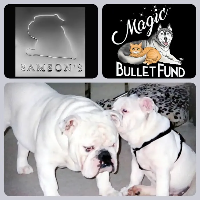 Samson's - pet products custom Picture 7