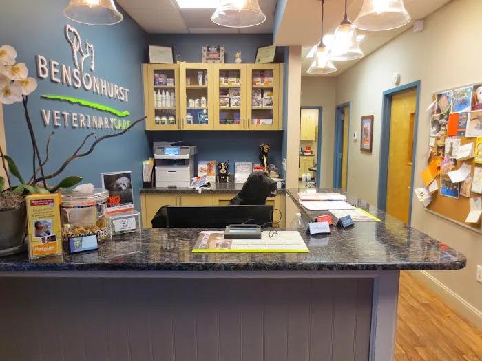Bensonhurst Veterinary Care Picture 1
