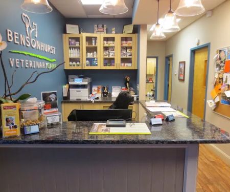 Bensonhurst Veterinary Care