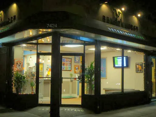 Bensonhurst Veterinary Care Picture 8