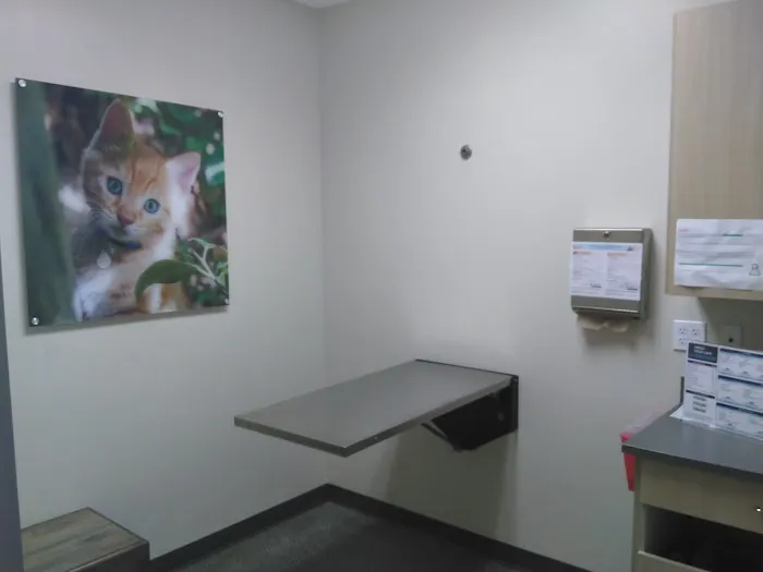 Vetco Total Care Animal Hospital Picture 5