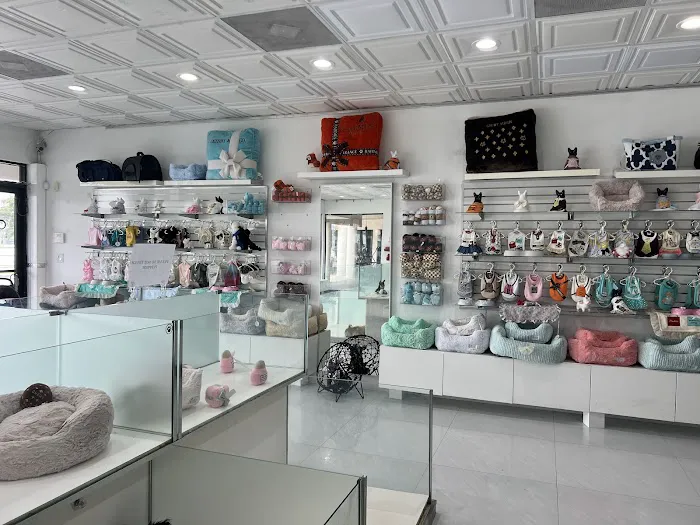 Tiny Paws Teacup & Toy Puppy Boutique Picture 1