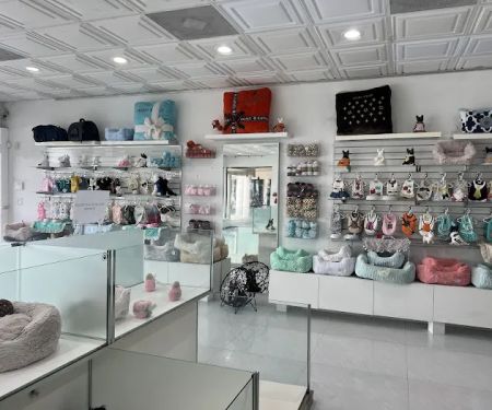Tiny Paws Teacup & Toy Puppy Boutique
