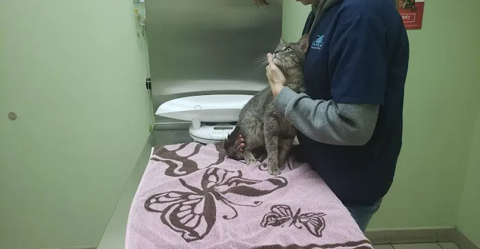 Bath Animal Hospital Picture 5