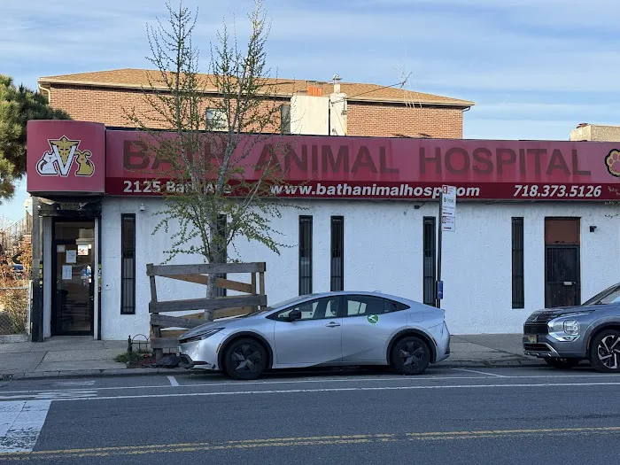Bath Animal Hospital Picture 8