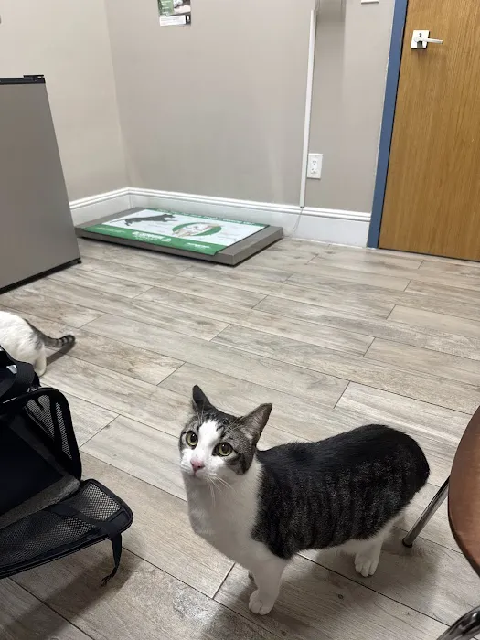 Greenwood Veterinary Care Picture 1
