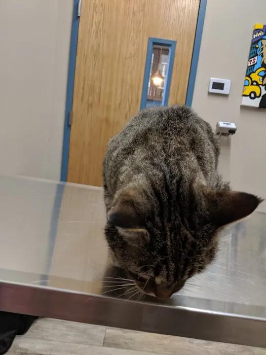 Greenwood Veterinary Care Picture 10