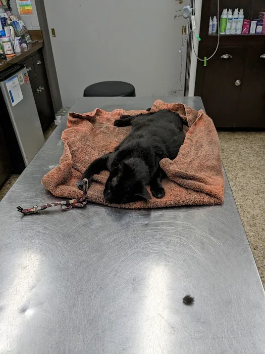 Pet Haven Animal Hospital Picture 5