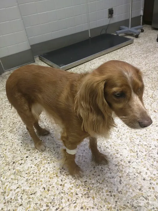 Pet Haven Animal Hospital Picture 6