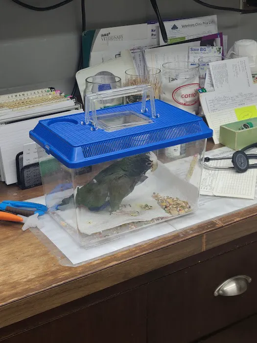 Pet Haven Animal Hospital Picture 10