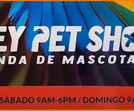 Rey Pet Shop