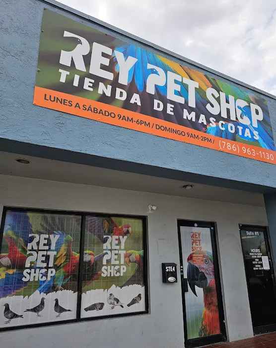 Rey Pet Shop Picture 2