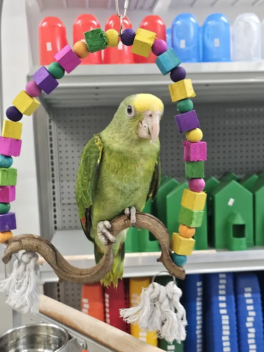 Rey Pet Shop Picture 5