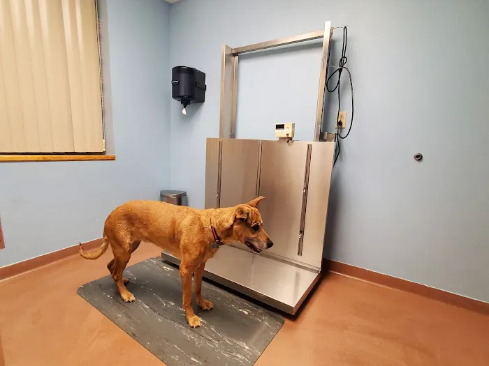 Scranton Animal Hospital Picture 1