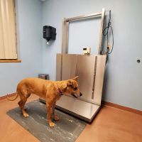 Scranton Animal Hospital ico