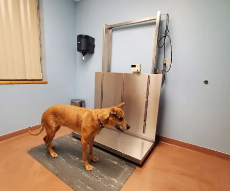 Scranton Animal Hospital