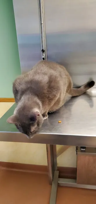 Scranton Animal Hospital Picture 5