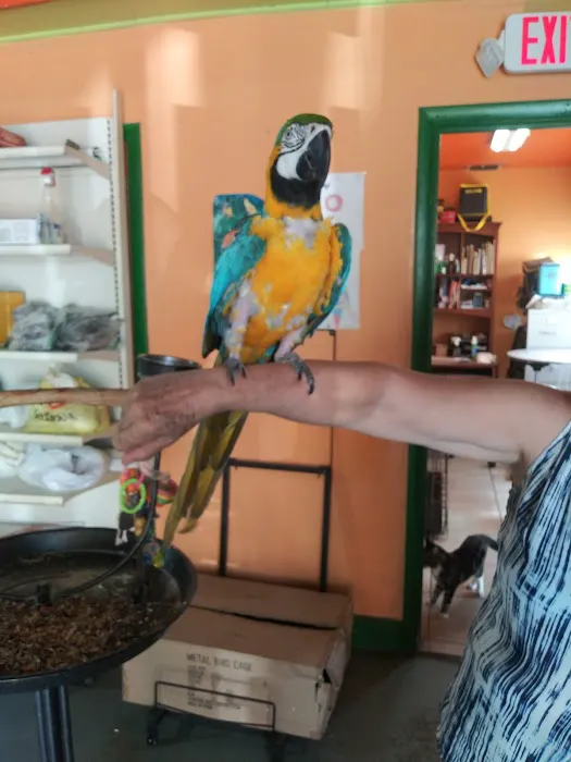 Neighborhood Petshop II Picture 2