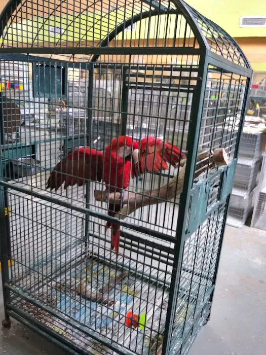 Neighborhood Petshop II Picture 1