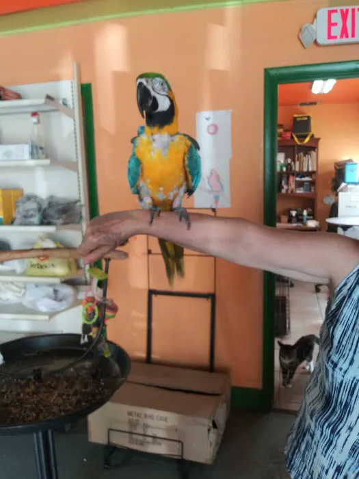 Neighborhood Petshop II Picture 5