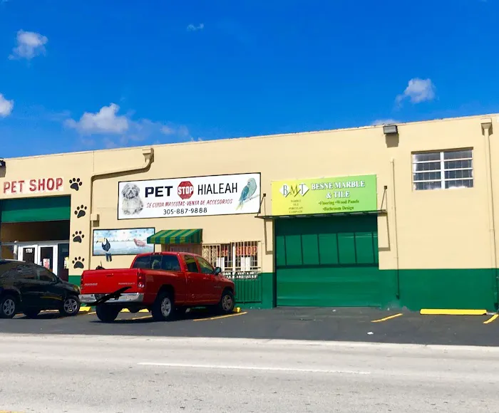 Neighborhood Petshop II Picture 3