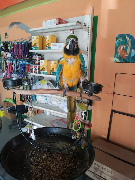 Neighborhood Petshop II Picture 7