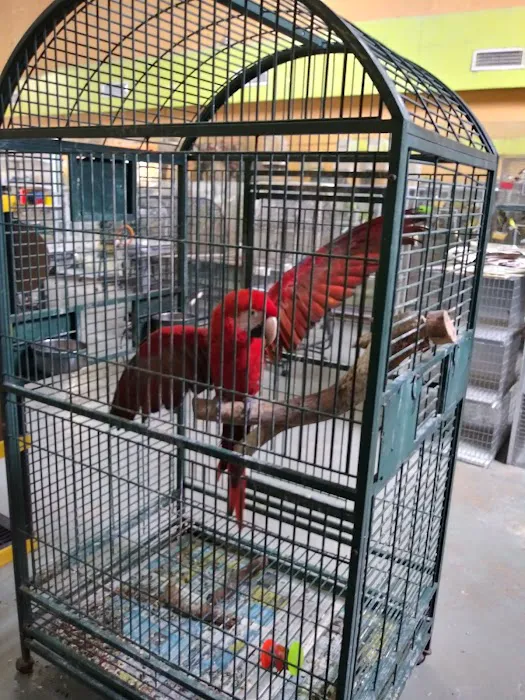 Neighborhood Petshop II Picture 6
