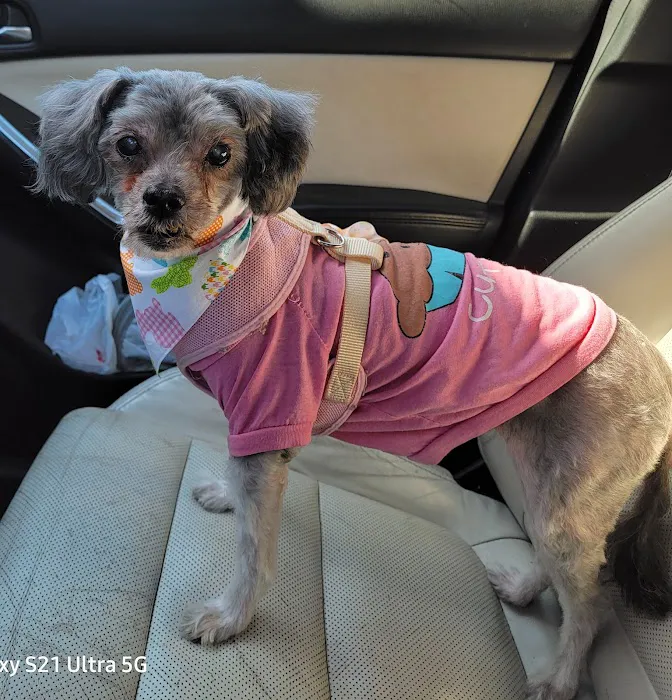Dr Paws Inc Picture 5