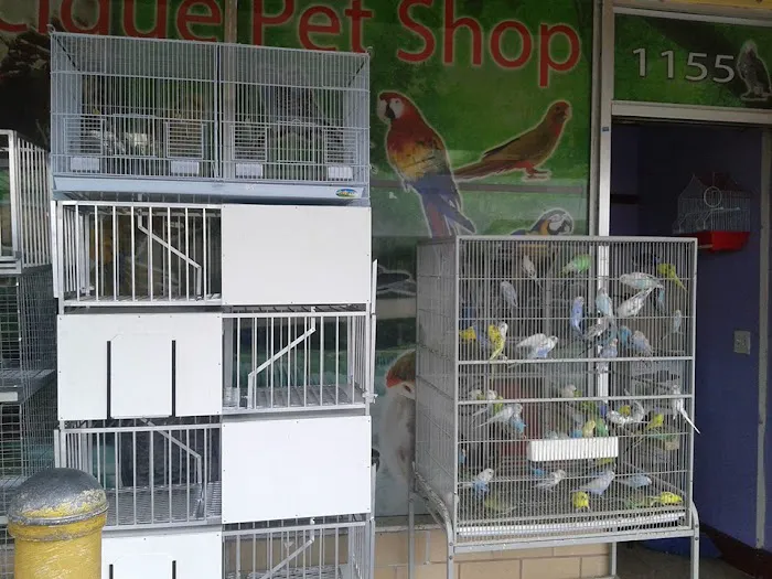 Cacique Petshop W 29st Picture 2