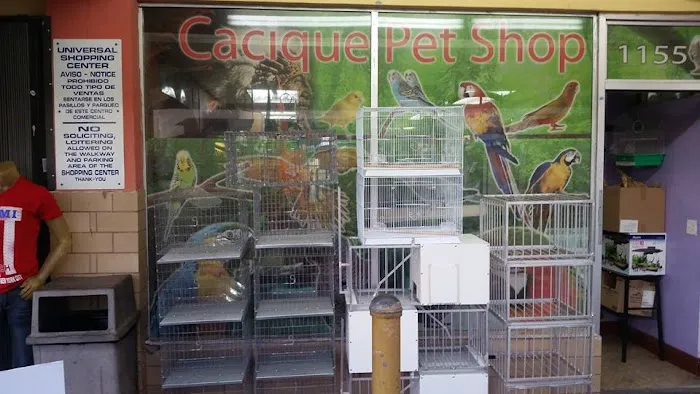 Cacique Petshop W 29st Picture 6
