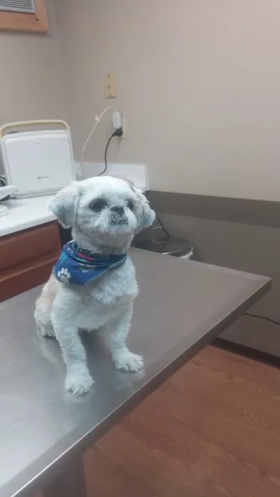 Justus Veterinary Clinic Picture 1