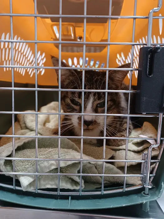 Justus Veterinary Clinic Picture 3