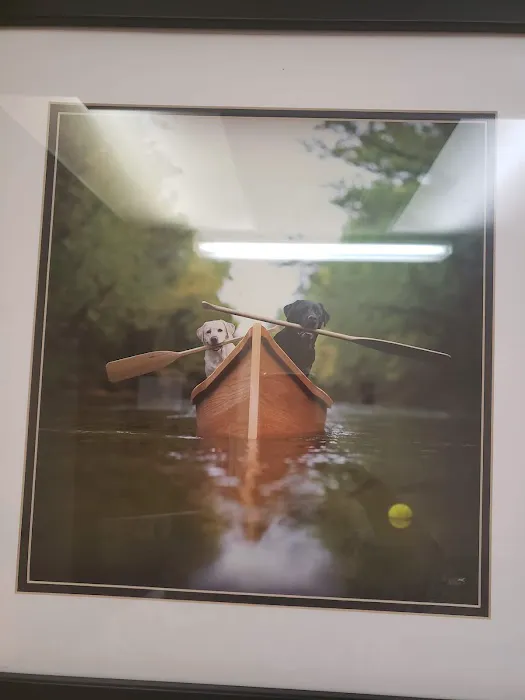 Justus Veterinary Clinic Picture 5